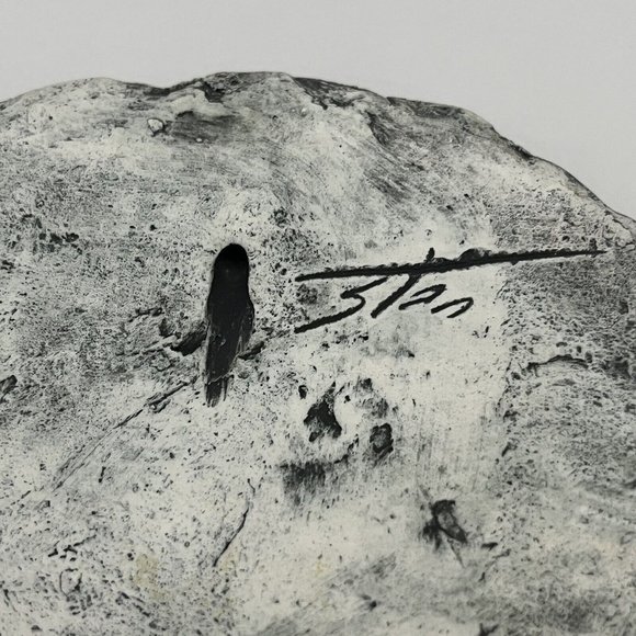 Shapes Of Clay By Stan Langtwait Mount St Helen Ash Native American Chief Joseph - Picture 9 of 16